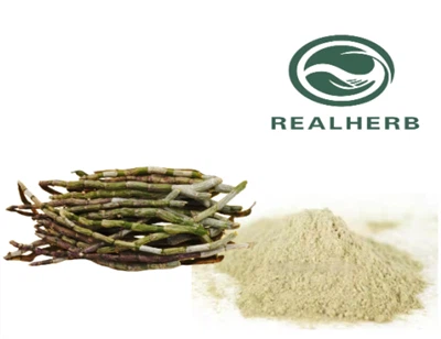 Dendrobium Candidum Extract